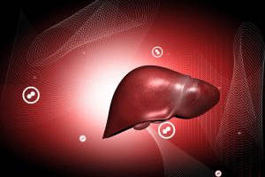 A study showed liver damage caused by the OMAD diet.